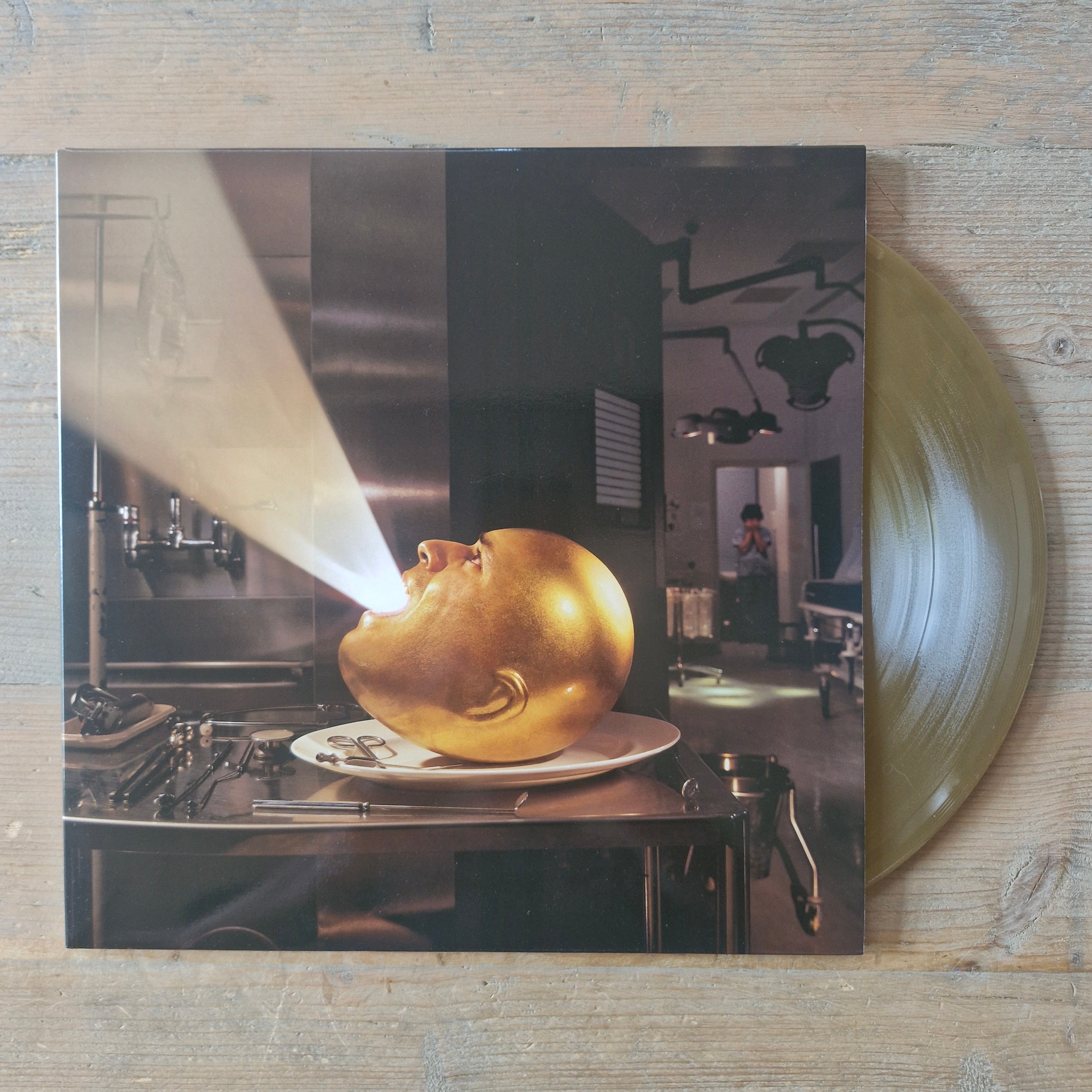 de-loused in the comatorium (2lp)