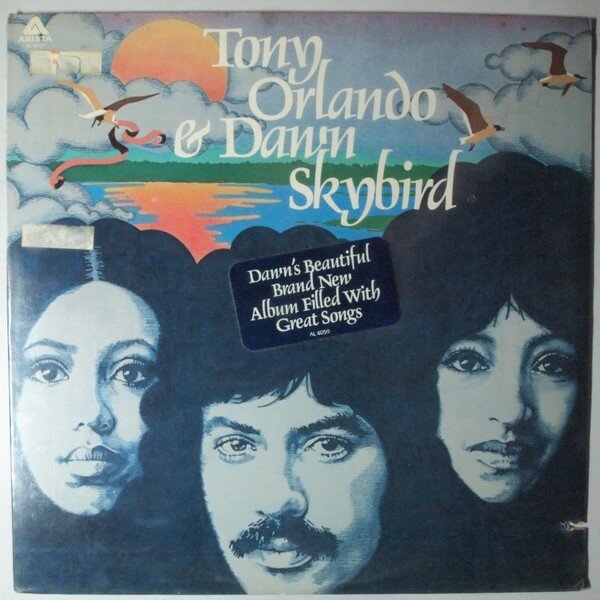 skybird