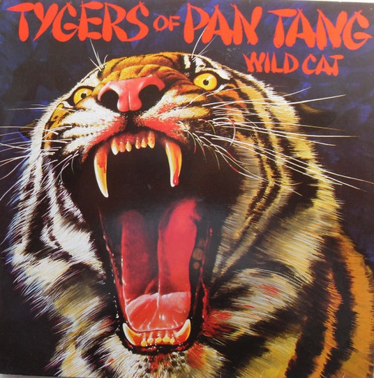 wild cat