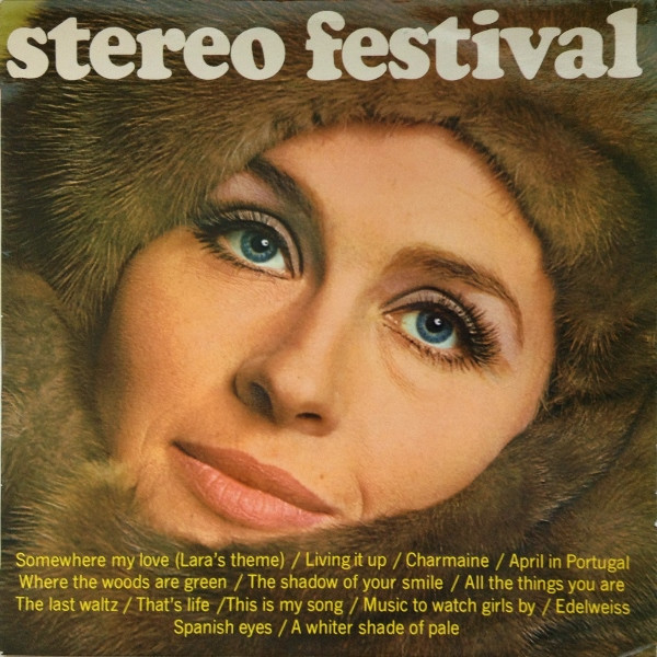 stereo festival