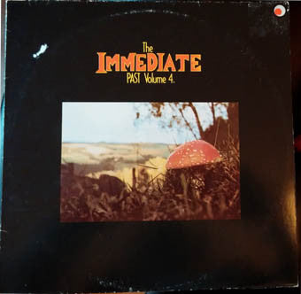 the immediate past vol 4