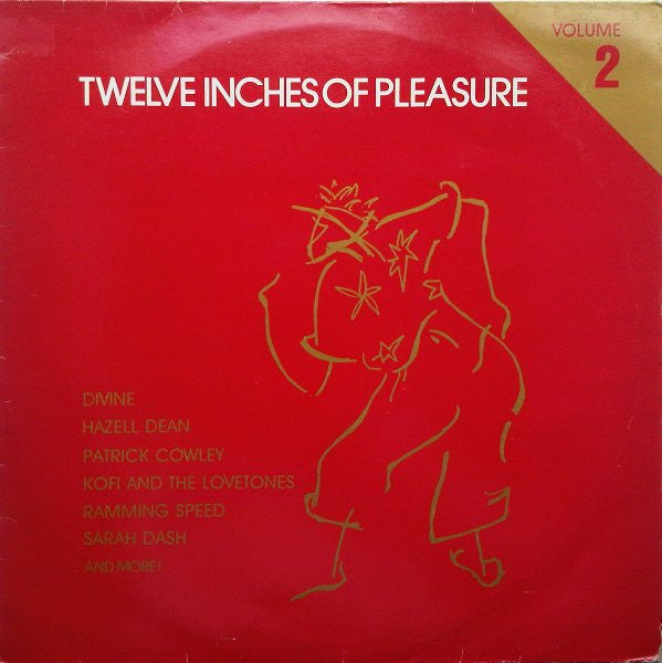 twelve inches of pleasure (volume 2)