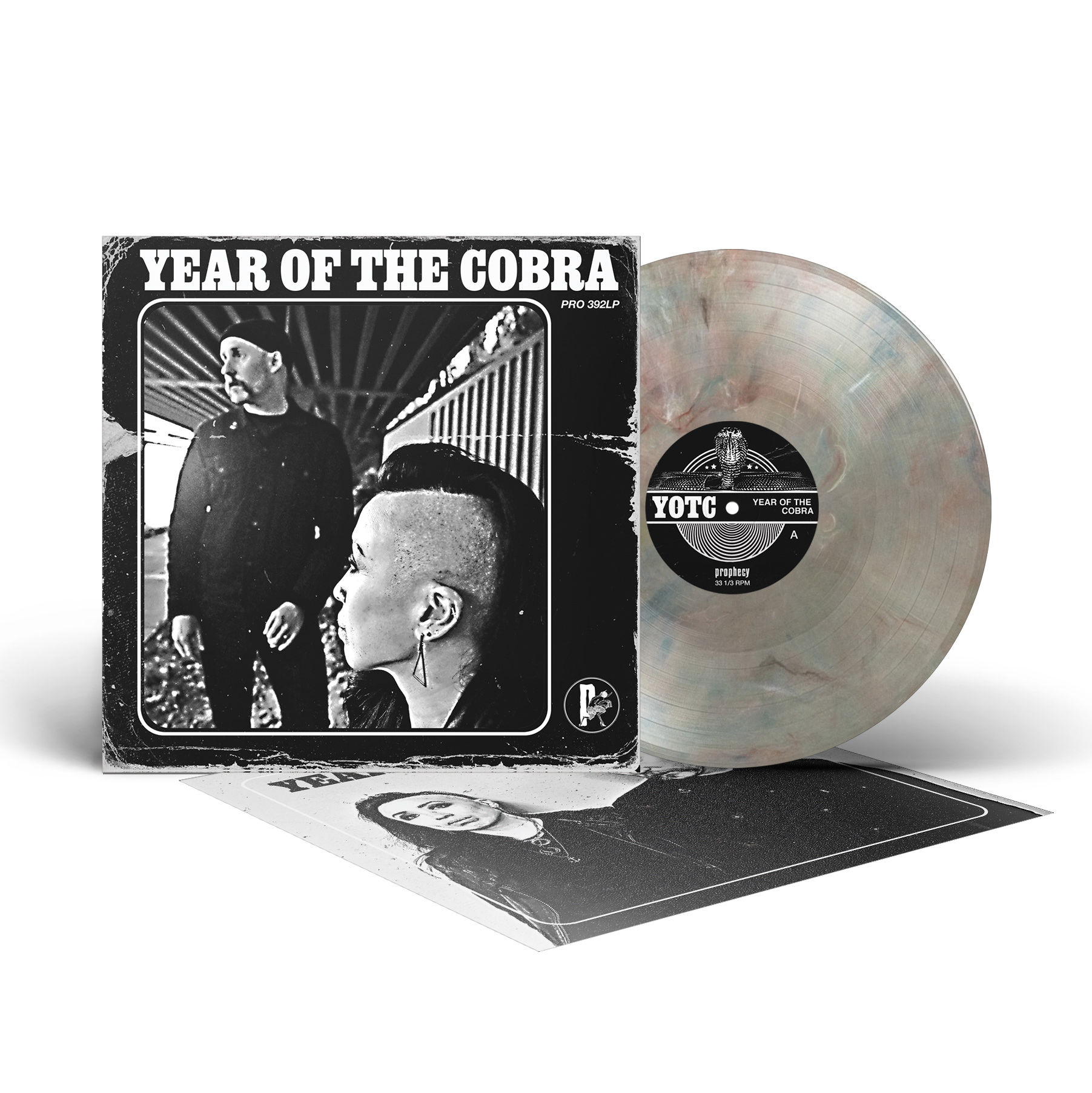 year of the cobra