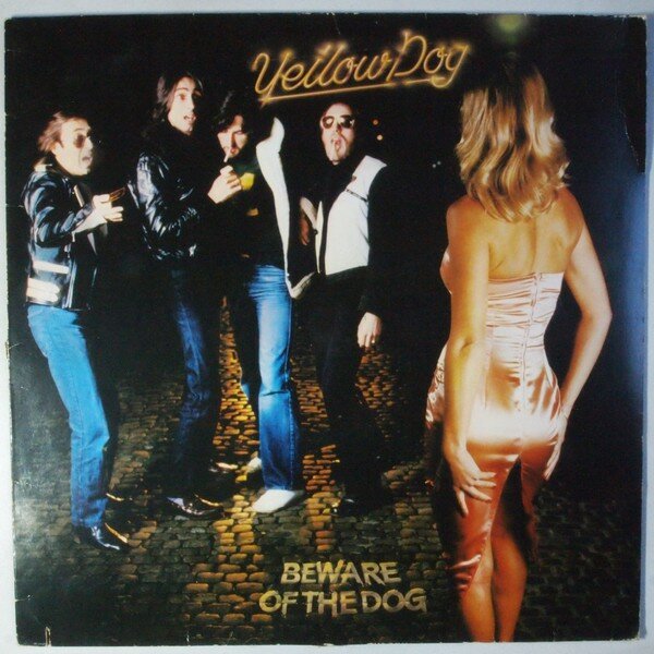 beware of the dog